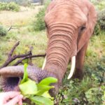 L’Afrique du Sud, une destination de vacances par excellence
