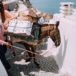 voyage humanitaire