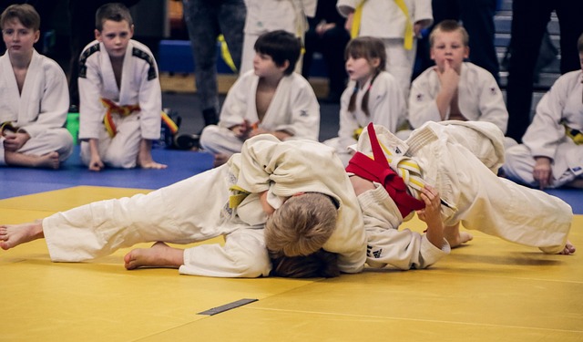 le judo