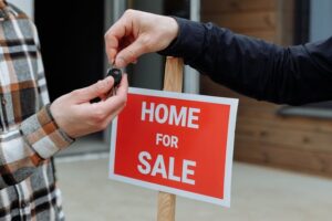 immobilier aux enchères